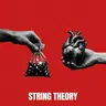 STRING THEORY