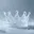 icestorm5972