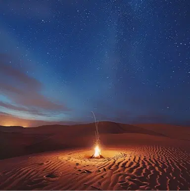Desert Night