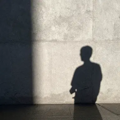 Shadows within 