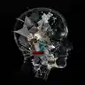 Give me a reason