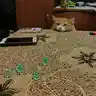 Кости - Стук