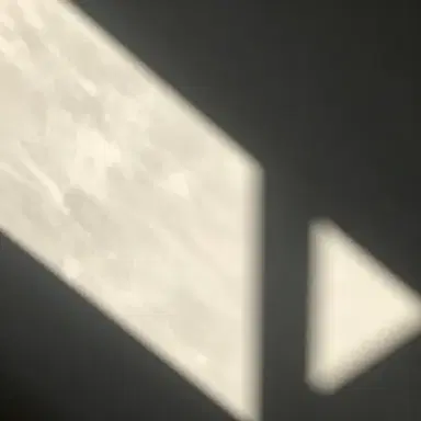 The shadows 
