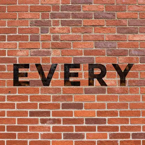 Every Brick by Dr.Proton artwork