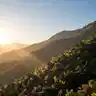 Yeah, It's A Beautiful Day 