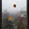 Inside Your Brain