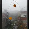 Inside Your Brain