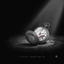Schon Immer Mein - DarkPrincess