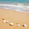 Golden Sand Day