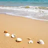 Golden Sand Day